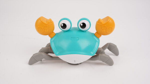 Sensing-Crawling-Crab-6-scaled-1.jpg